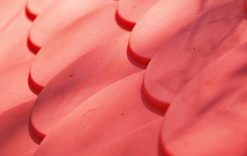 Gotham plastic roof costs